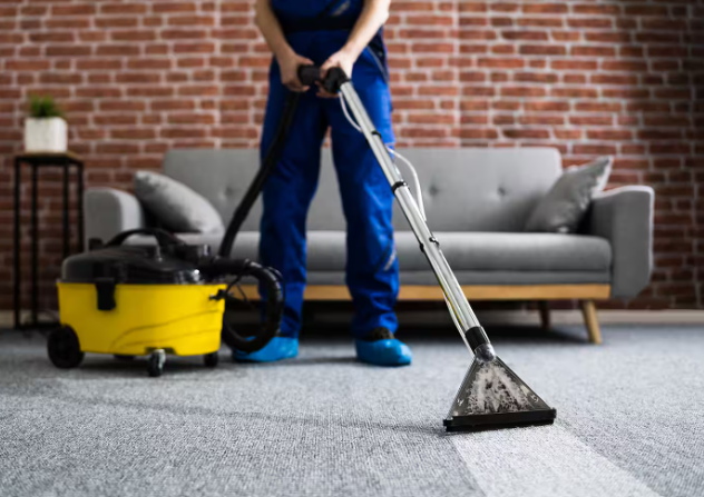 Carpet Cleaning Service Tampa